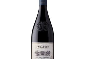Tarapacá Gran Reserva Merlot Thumbnail