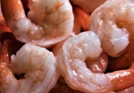 Camarón Thumbnail