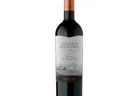 Castillo de molina Thumbnail