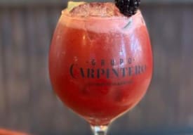 Ginforno Thumbnail