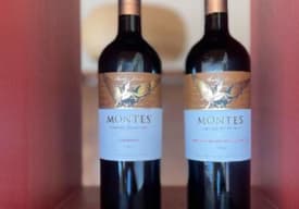 MONTES LIMITED Thumbnail
