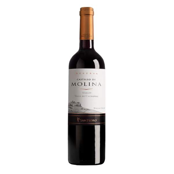 Castillo de Molina ME