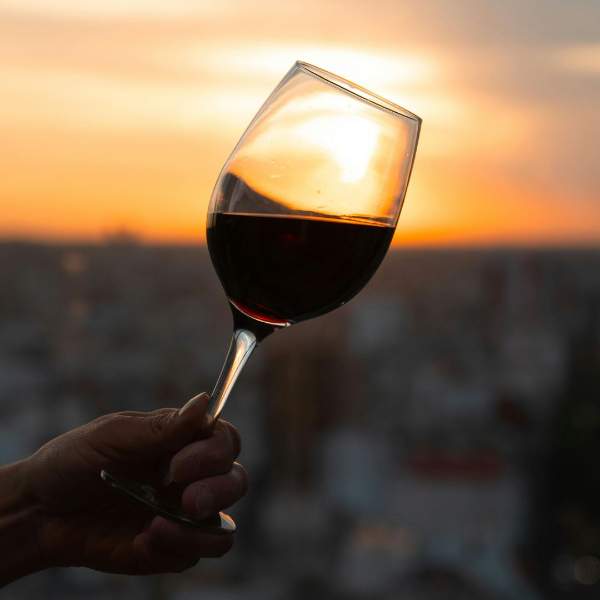 Copa Veramonte Organico Gran Reserva Thumbnail