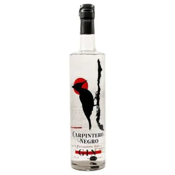 Gin Tonica Thumbnail