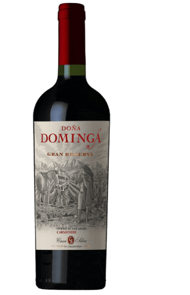 DOÑA DOMINGA GRAN RESERVA DE LOS ANDES