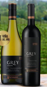 Copa Grey Glacier Ventisquero Thumbnail